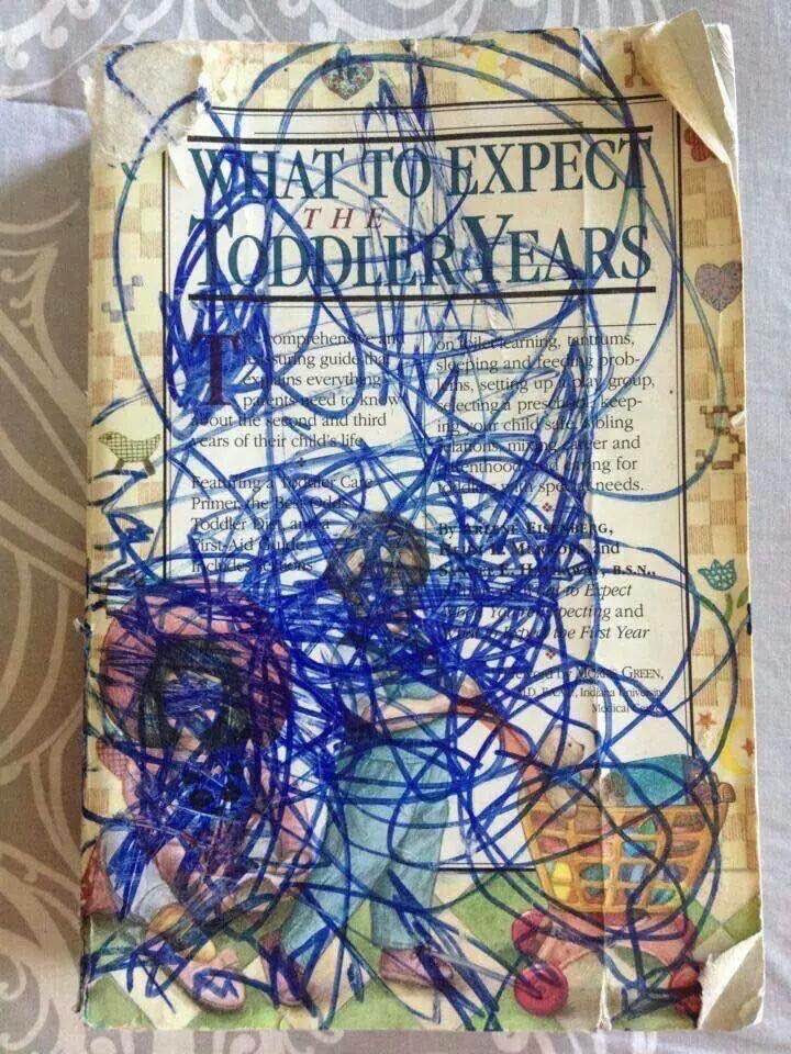 What to Expect: The Toddler Years Summary
