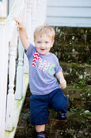 Triblend Grey two Birthday Shirt - red chevron, Pez, green circles- Boys 2nd Birthday- 2 year old cake and party theme