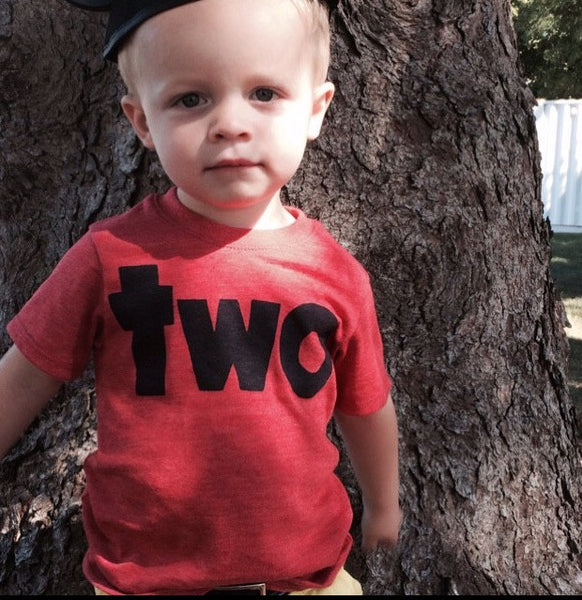 two red boys 2nd birthday shirt with navy, mint, grey, blue, two kids birthday theme second party