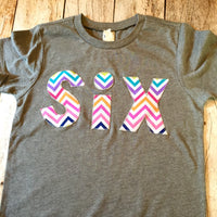 Six 6 6th Birthday Rainbow Chevron Number for any Birthday -  Pick a chevron color Birthday Shirt
