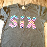 Six 6 6th Birthday Rainbow Chevron Number for any Birthday -  Pick a chevron color Birthday Shirt
