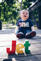 Primary colors, one birthday outfit, 1st Birthday shirt, boys first birthday, red, yellow, green, indigo blue, grass, favor, banner, flags