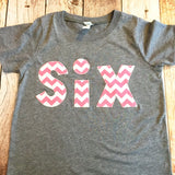 Six Birthday Chevron, 6 Number outfit, girls 6th Birthday Shirt, pink chevron top, cake, favors, banner, bags, card, pink white grey tshirt