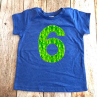 Slime Birthday shirt, boy party outfit, royal blue lime green, 6th, six, 1 2 3 4 5 6 7 8 year old 1st 2nd 3rd 4th 5th 7th