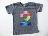 Rainbow Birthday Shirt, unicorn party outfit, stripes on heathered grey tshirt, 2 year old, 2nd birthday boy, 3 4 5 6 7 8 9, cake smash