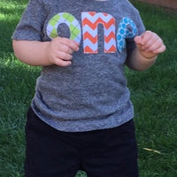 Fan Photo one for 1st Birthday chevron Number for any Birthday- lime argyle, orange chevron, aqua turquoise robin dots triblend grey