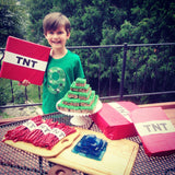 Green pixel birthday shirt ANY NUMBER green 8 pixel video game Fabric Birthday Shirt older kids 7th 8th 9th birthday boy tnt water land hack