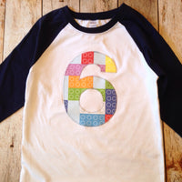 6 Building Bricks Birthday Shirt 6th six Birthday Boys Navy and White Raglan stacking blocks 1 2 3 4 5 7 8 9 one two three four five 1st 2nd