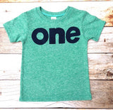 Green 1st birthday shirt boy l cake smash l first birthday outfit l colors- mint green red grey blue