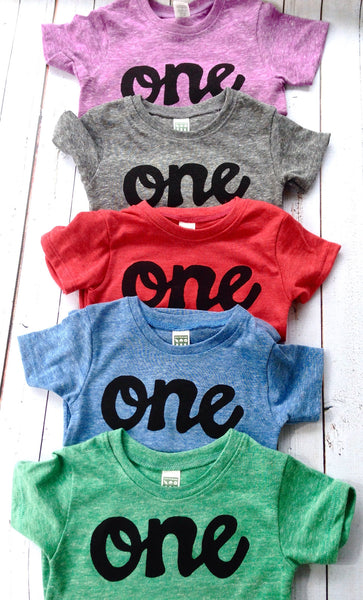 1st birthday shirt boy l first birthday outfit l colors- mint green red grey blue