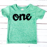 1st birthday shirt boy l first birthday outfit l colors- mint green red grey blue